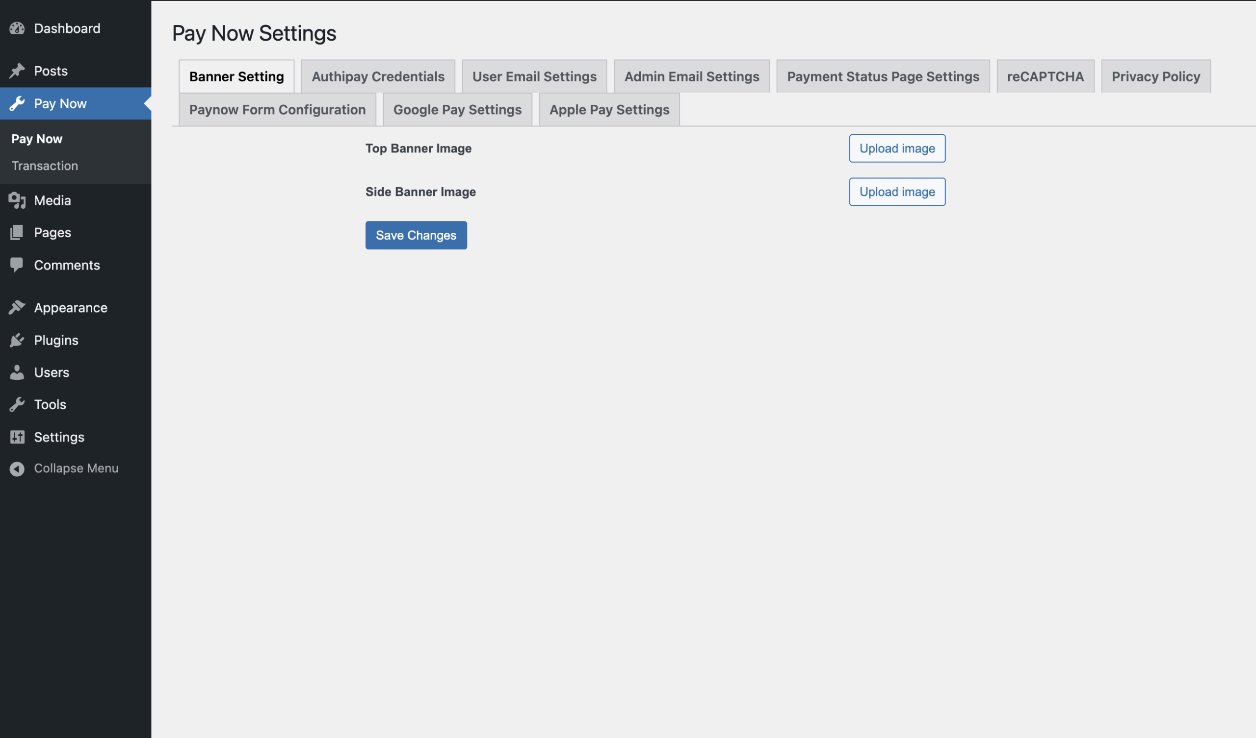 AIB-MS-AuthiPay-WordPress-payment-page-design